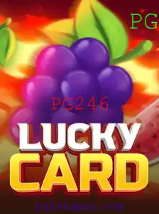 Descubra o Mundo do LuckyCard: Jogabilidade e Regras do Jogo PG246